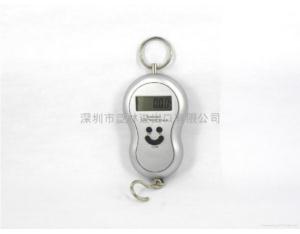 Import Luggage Scale HGA from chinese wholesale supplier and manufacturer