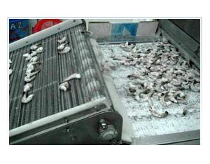 Import Machinery for Food, Beverage & Cereal from chinese wholesale supplier and manufacturer