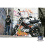 Import Madass125 from chinese wholesale supplier and manufacturer