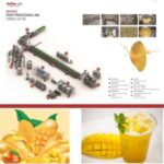Import Mango Processing Line from chinese wholesale supplier and manufacturer