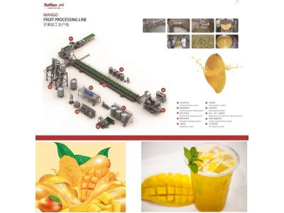 Import Mango Processing Line from chinese wholesale supplier and manufacturer
