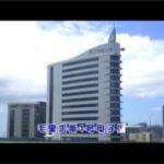 Import Maori for number one, electronic from chinese wholesale supplier and manufacturer