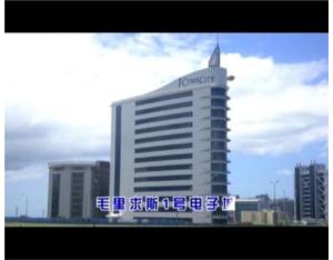 Import Maori for number one, electronic from chinese wholesale supplier and manufacturer