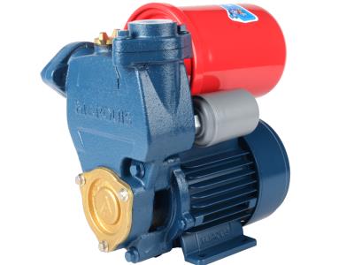 Import MARQUIS Automatic Self-priming Peripheral Pump from chinese wholesale supplier and manufacturer
