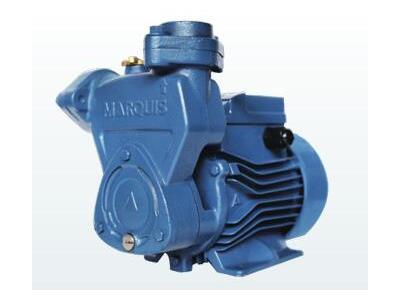 Import MARQUIS Self-priming Peripheral Pump MQS from chinese wholesale supplier and manufacturer