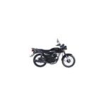 Import MAX125 Motorcycle from chinese wholesale supplier and manufacturer