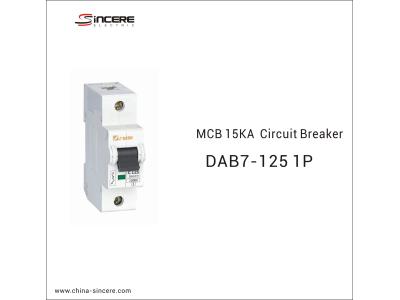 Import MCB 15KA Circuit Breaker from chinese wholesale supplier and manufacturer