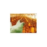 Import Metallic Processing Machinery from chinese wholesale supplier and manufacturer