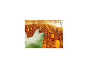 Import Metallic Processing Machinery from chinese wholesale supplier and manufacturer