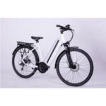 Import Mid-drive Electric Bike customized geometry and color available-Juliet from chinese wholesale supplier and manufacturer