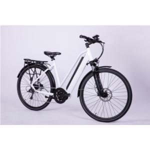 Import Mid-drive Electric Bike customized geometry and color available-Juliet from chinese wholesale supplier and manufacturer