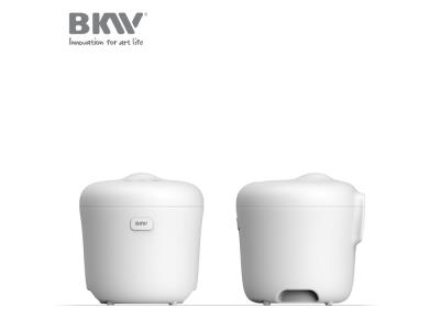 Import Mini Rice Cooker RC100G12 from chinese wholesale supplier and manufacturer