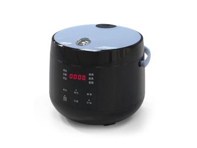Import Mini Smart Rice Cooker from chinese wholesale supplier and manufacturer