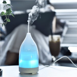 Import Mini?White?Diffuser from chinese wholesale supplier and manufacturer