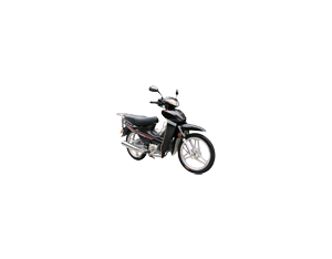 Import MOPED HN100-8 from chinese wholesale supplier and manufacturer