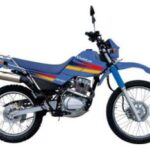 Import Motorcycle from chinese wholesale supplier and manufacturer
