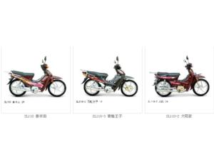 Import Motorcycle from chinese wholesale supplier and manufacturer