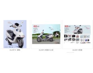 Import Motorcycle from chinese wholesale supplier and manufacturer