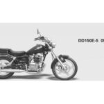 Import Motorcycle DD150E-5 09 Series from chinese wholesale supplier and manufacturer
