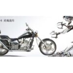Import Motorcycle DD300E-6 from chinese wholesale supplier and manufacturer