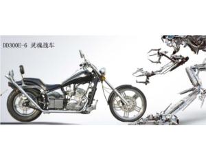 Import Motorcycle DD300E-6 from chinese wholesale supplier and manufacturer
