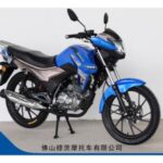 Import MOTORCYCLE FH-125/150/200 from chinese wholesale supplier and manufacturer
