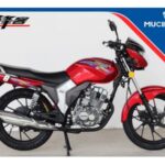 Import MOTORCYCLE FK-125/150/200 from chinese wholesale supplier and manufacturer