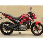 Import MOTORCYCLE FY-125/150/200 from chinese wholesale supplier and manufacturer
