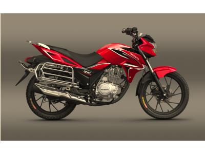 Import MOTORCYCLE FY1-125/150/200 from chinese wholesale supplier and manufacturer
