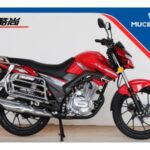 Import MOTORCYCLE KS-125/150/200 from chinese wholesale supplier and manufacturer