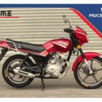 Import MOTORCYCLE LMW-125/150/200 from chinese wholesale supplier and manufacturer