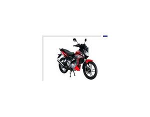 Import Motorcycle RT150-5 from chinese wholesale supplier and manufacturer