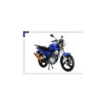 Import Motorcycle RT150-8 from chinese wholesale supplier and manufacturer