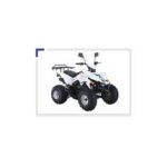 Import motorcycle RT150ST from chinese wholesale supplier and manufacturer