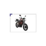 Import motorcycle RT200-2 from chinese wholesale supplier and manufacturer