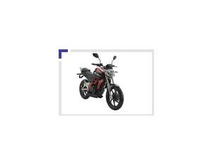 Import motorcycle RT200-2 from chinese wholesale supplier and manufacturer