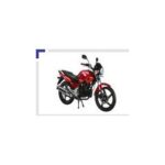 Import motorcycle RT200-5 from chinese wholesale supplier and manufacturer