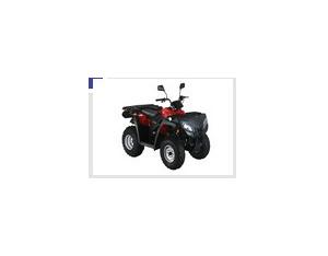 Import motorcycle RT250ST from chinese wholesale supplier and manufacturer