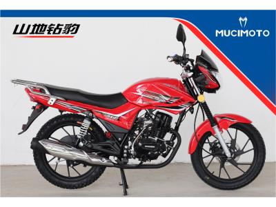Import MOTORCYCLE SDZB-125/150/200 from chinese wholesale supplier and manufacturer