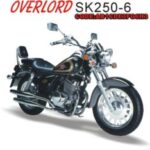 Import Motorcycle SK250-6 from chinese wholesale supplier and manufacturer