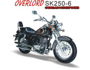 Import Motorcycle SK250-6 from chinese wholesale supplier and manufacturer