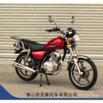 Import MOTORCYCLE TZ-125/150/200 from chinese wholesale supplier and manufacturer