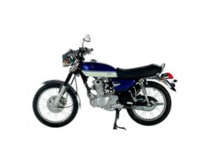 Import Motorcycle Wolf Classic from chinese wholesale supplier and manufacturer