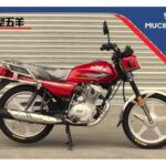 Import MOTORCYCLE WY-125/150/200 from chinese wholesale supplier and manufacturer