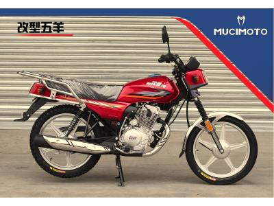 Import MOTORCYCLE WY-125/150/200 from chinese wholesale supplier and manufacturer