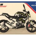 Import MOTORCYCLE XS-125/150/200 from chinese wholesale supplier and manufacturer