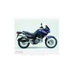 Import motorcycle1 from chinese wholesale supplier and manufacturer