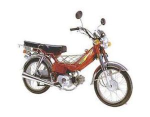 Import Motorcycles XF30E from chinese wholesale supplier and manufacturer