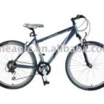 Import mountain bike from chinese wholesale supplier and manufacturer