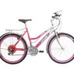 Import Mountain Bike 2600227S from chinese wholesale supplier and manufacturer